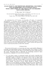 Scale Insects and Whiteflies (Hemiptera: Coccoidea and Aleyrodoidea) of Watsonian Kent; with a Discussion on the Impact of Naturalised Non-Native Species