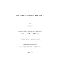 MOLECULAR MECHANISM of the TRAMP COMPLEX by HUIJUE JIA