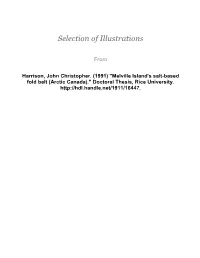 Selection of Illustrations