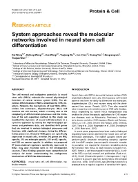 System Approaches Reveal the Molecular Networks Involved in Neural Stem Cell Differentiation