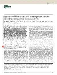 System-Level Identification of Transcriptional Circuits Underlying