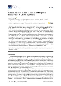 Carbon Balance in Salt Marsh and Mangrove Ecosystems: a Global Synthesis
