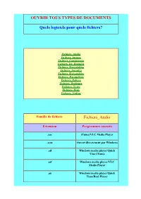 Les Extensions Des Fichiers