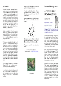 A Circular Walk from Bawdeswell