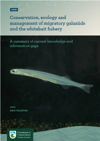 Conservation, Ecology and Management of Migratory Galaxiids and the Whitebait Fishery: a Summary of Current Knoledge and Informa