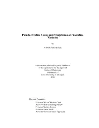 Pseudoeffective Cones and Morphisms of Projective Varieties