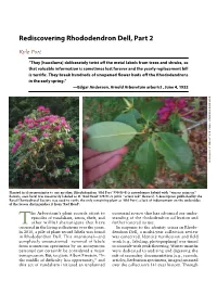 Rediscovering Rhododendron Dell, Part 2