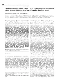 The Human Vaccinia-Related Kinase 1 (VRK1) Phosphorylates Threonine-18 Within the Mdm-2 Binding Site of the P53 Tumour Suppressor Protein