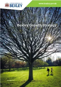 Bexley Growth Strategy