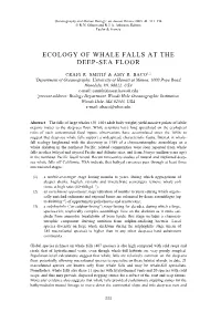 Ecology of Whale Falls at the Deep-Sea Floor