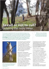 Noisy-Miner-To-Cull-Or-Not.Pdf
