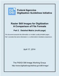Raster Still Images for Digitization: a Comparison of File Formats