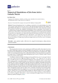 Numerical Simulations of Jets from Active Galactic Nuclei