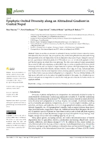 Epiphytic Orchid Diversity Along an Altitudinal Gradient in Central Nepal