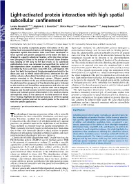 Light-Activated Protein Interaction with High Spatial Subcellular Confinement