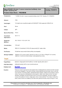 New PDF Document
