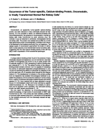 Occurrence of the Tumor-Specific, Calcium-Binding Protein, Oncomodulin, in Virally Transformed Normal Rat Kidney Cells1