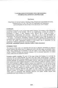 Cannibalism in Extensive Poultry Keeping: Interfacing Genetics and Welfare