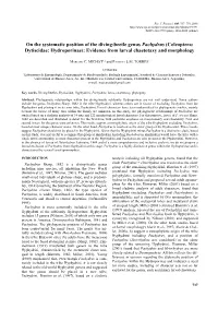 Coleoptera: Dytiscidae: Hydroporinae): Evidence from Larval Chaetotaxy and Morphology