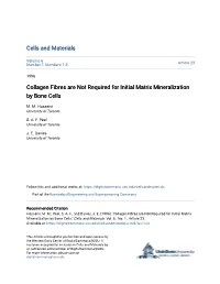 Collagen Fibres Are Not Required for Initial Matrix Mineralization by Bone Cells