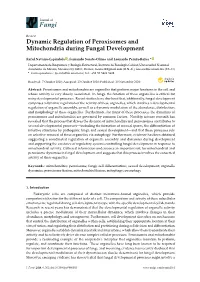 Dynamic Regulation of Peroxisomes and Mitochondria During Fungal Development