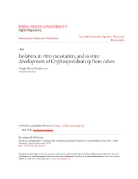 Isolation, in Vitro Excystation, and in Vitro Development of Cryptosporidium Sp from Calves Douglas Byron Woodmansee Iowa State University