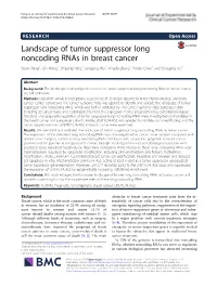 Landscape of Tumor Suppressor Long Noncoding Rnas in Breast Cancer Boran Pang1, Qin Wang2, Shipeng Ning2, Junqiang Wu2, Xingda Zhang2, Yanbo Chen2 and Shouping Xu2*