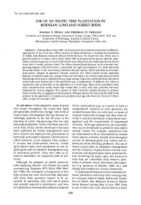 Use of an Exotic Tree Plantation by Bornean Lowland Forest Birds