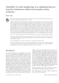 Variability of Conch Morphology in a Cephalopod Species from the Cambrian to Ordovician Transition Strata of Siberia