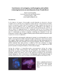 Coexistance of Acetogens, Methanogens and Sulfate Reducing Bacteria in Enrichments from Trunk River