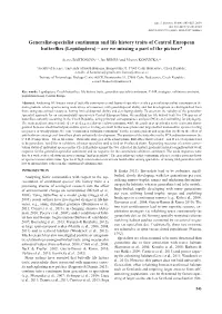 Lepidoptera) – Are We Missing a Part of the Picture?