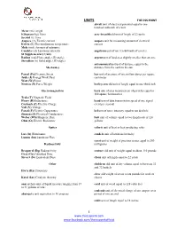 THE CSS POINT 1 Www