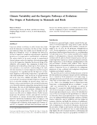 The Origin of Endothermy in Mammals and Birds