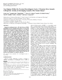 Two Regions Within the Proximal Steroidogenic Factor 1 Promoter Drive Somatic Cell-Specific Activity in Developing Gonads of the Female Mouse1