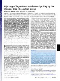 Hijacking of Leguminous Nodulation Signaling by the Rhizobial Type III Secretion System
