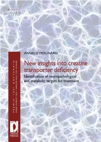New Insights Into Creatine Transporter Deficiency