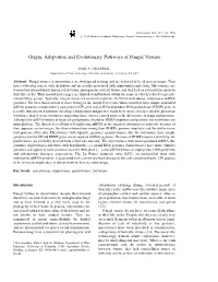 Origin, Adaptation and Evolutionary Pathways of Fungal Viruses