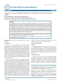 Agmatine Improves Spatial Memory