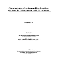 Characterization of the Human Aldehyde Oxidase: Studies on the FAD Active Site and ROS Generation