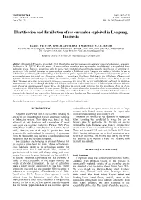 Identification and Distribution of Sea Cucumber Exploited in Lampung, Indonesia