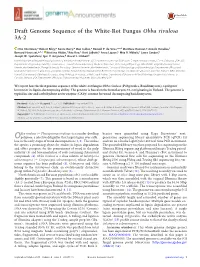 Draft Genome Sequence of the White-Rot Fungus Obba Rivulosa 3A-2