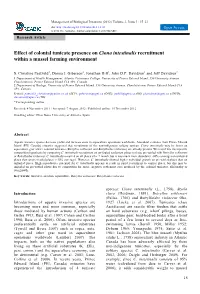 Effect of Colonial Tunicate Presence on Ciona Intestinalis Recruitment Within a Mussel Farming Environment