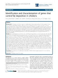 Identification and Characterization of Genes That Control Fat Deposition In