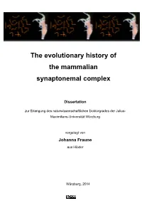 The Evolutionary History of the Mammalian Synaptonemal Complex