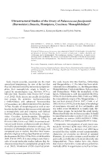 &lt;I&gt;Palaeococcus Fuscipennis&lt;/I&gt;