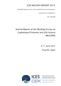 Interim Report of the Working Group on Cephalopod Fisheries and Life History (WGCEPH)