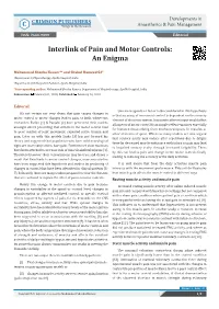 Interlink of Pain and Motor Controls: an Enigma