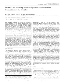 Antennal Lobe Processing Increases Separability of Odor Mixture Representations in the Honeybee
