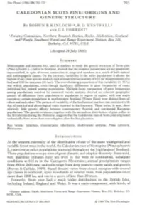 Caledonian Scots Pine: Origins and Genetic Structure