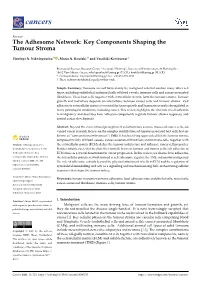 The Adhesome Network: Key Components Shaping the Tumour Stroma